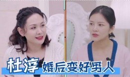 明星夫妻吵架爆料视频,激烈对峙引网友热议