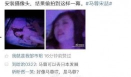 马蓉爆料最新,揭秘娱乐圈惊人内幕