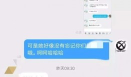 视频有偿爆料,视频有偿爆料背后的真相与争议